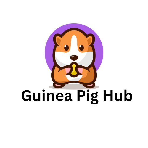 guineapighub