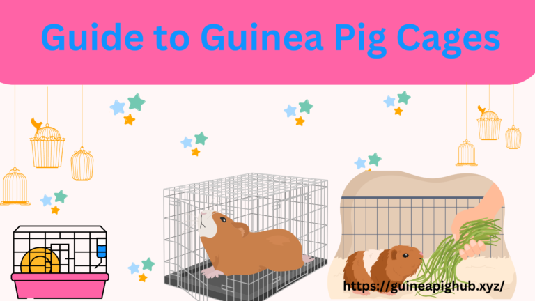 Guinea Pig Cages