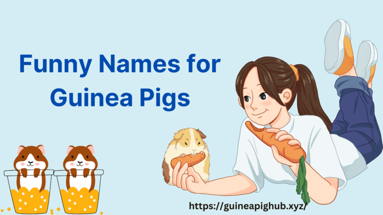 Funny Names for Guinea Pigs